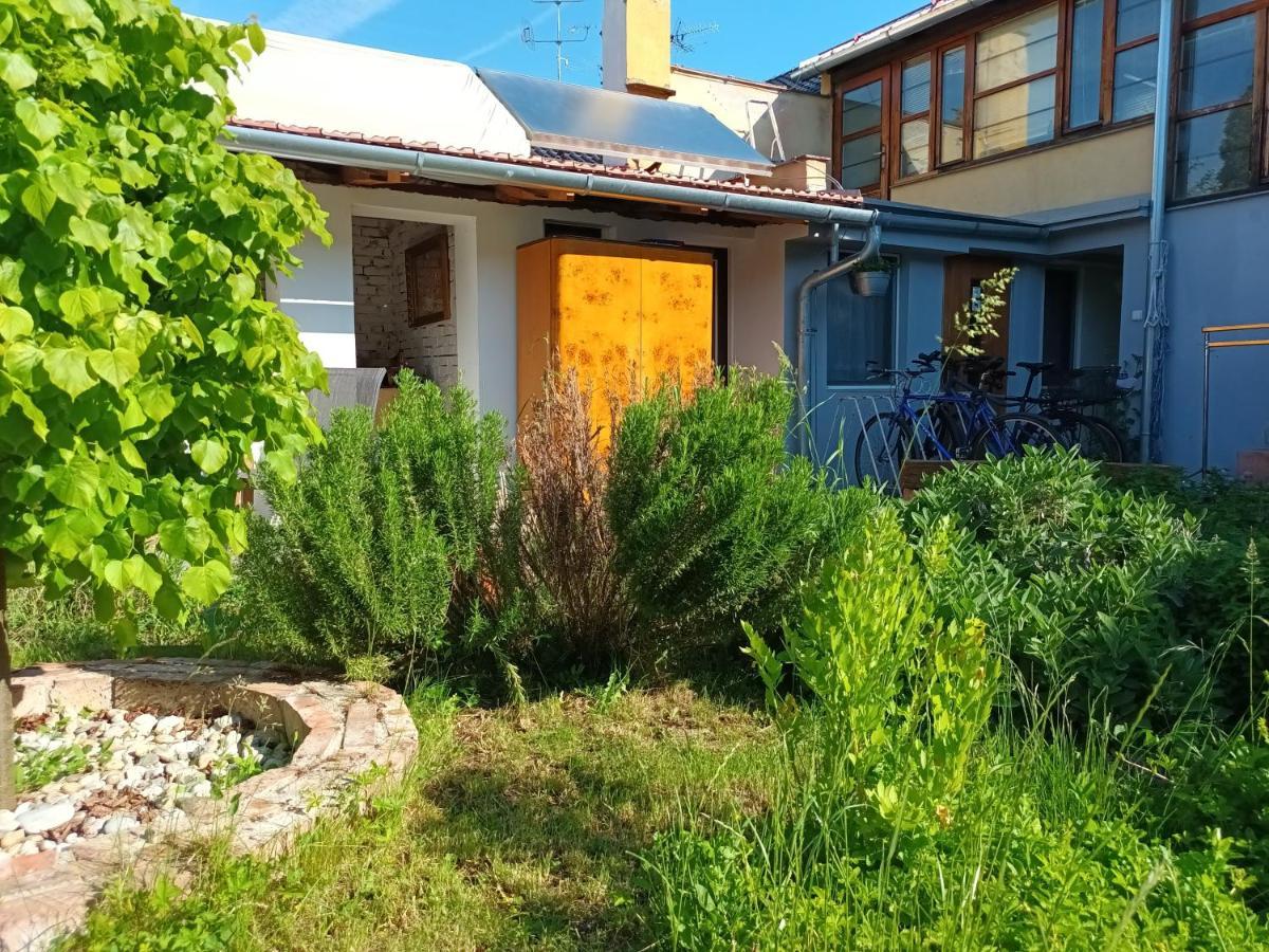 Za Vodou Guest House Moravská Nová Ves Exterior foto