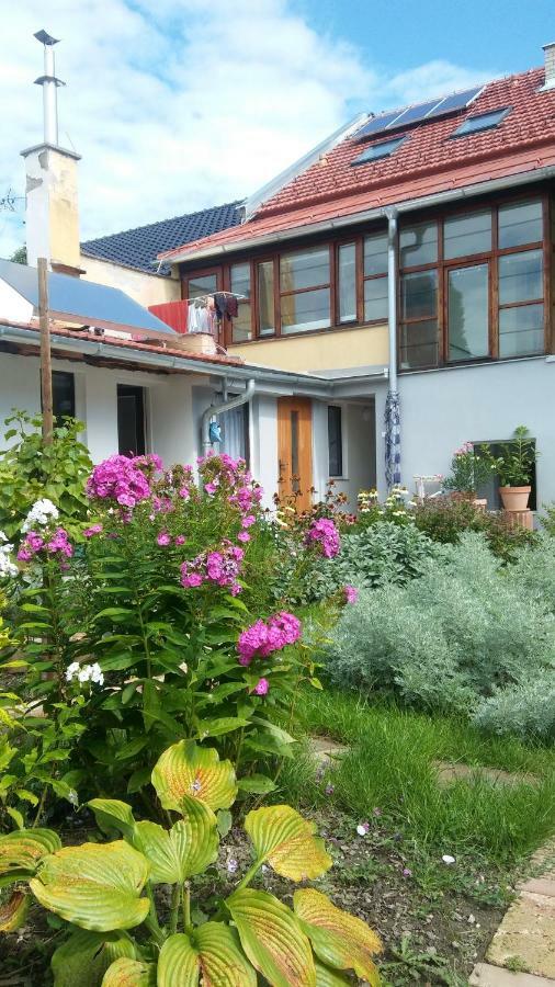 Za Vodou Guest House Moravská Nová Ves Exterior foto