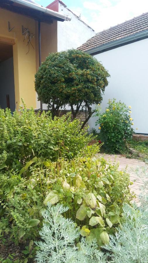 Za Vodou Guest House Moravská Nová Ves Exterior foto