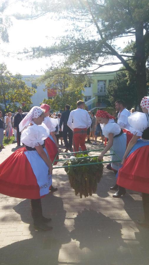 Za Vodou Guest House Moravská Nová Ves Exterior foto